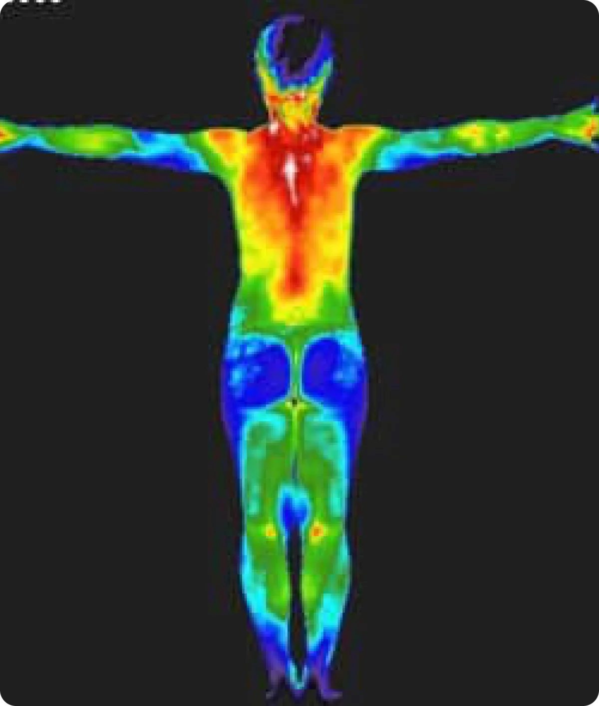 A full-body thermal image, arms outstretched, mapping surface temperature from blue through green to red.